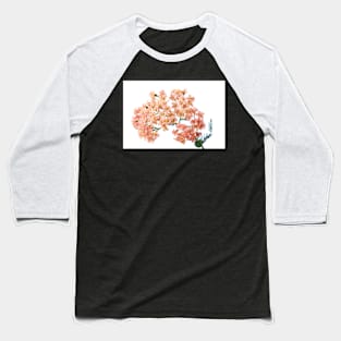 Achillea millefolium &#39;Salmon Beauty&#39; Baseball T-Shirt